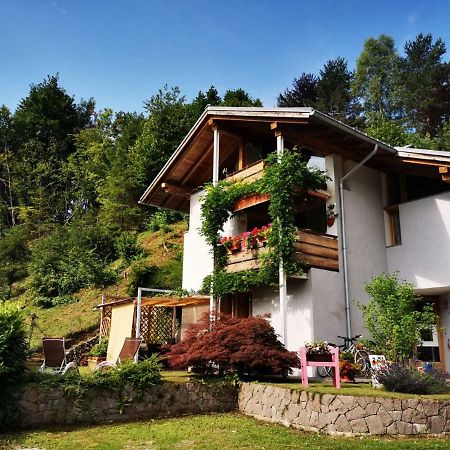 Minavill La Casa Sulle Dolomiti Bed and Breakfast Fiera Di Primiero Exteriör bild