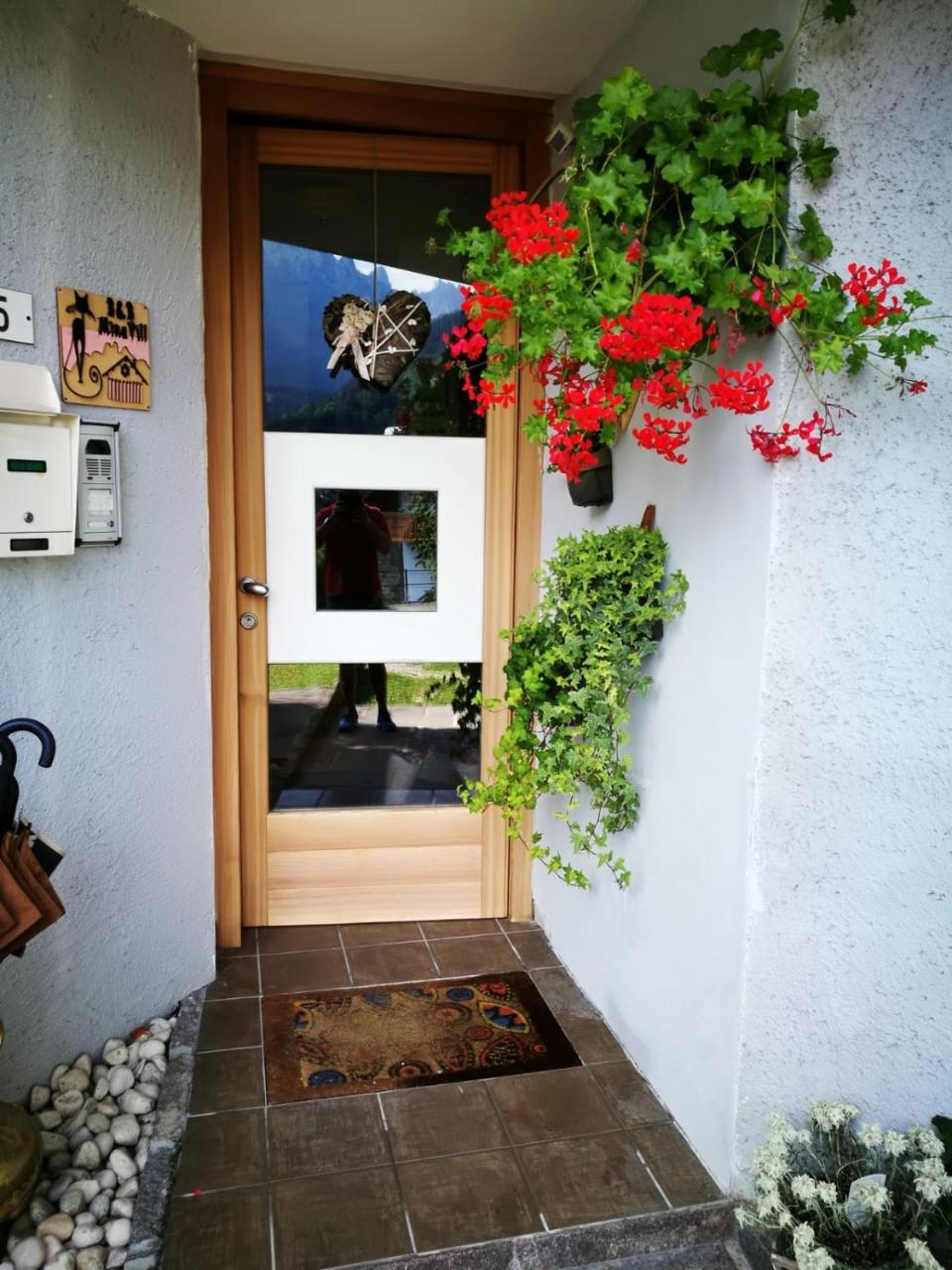 Minavill La Casa Sulle Dolomiti Bed and Breakfast Fiera Di Primiero Exteriör bild