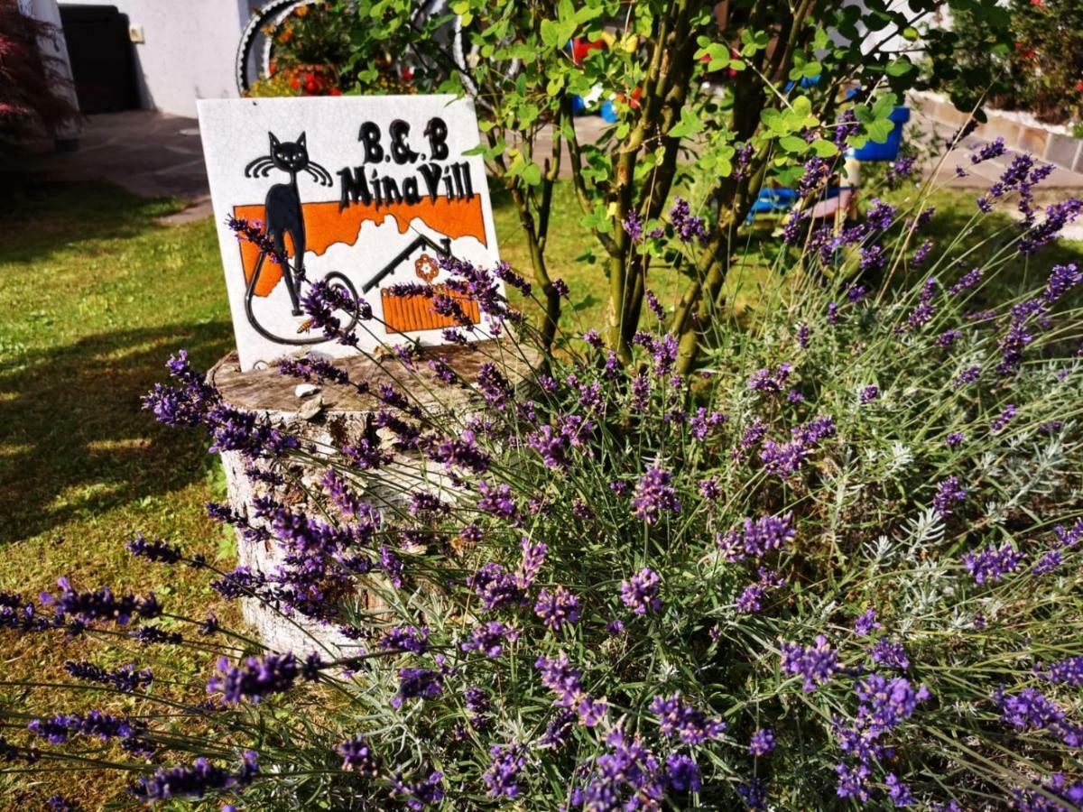 Minavill La Casa Sulle Dolomiti Bed and Breakfast Fiera Di Primiero Exteriör bild